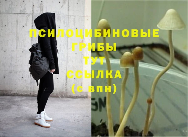 первитин Сретенск